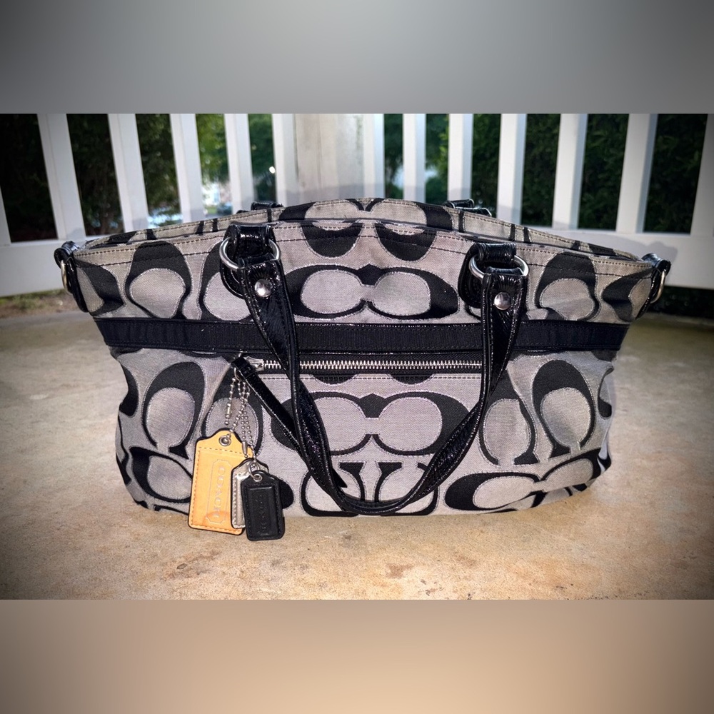 Coach Poppy Metallic Outline Signature Convertible bag